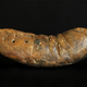Coprolito de Carolina del Sur. Wikimedia Commons
